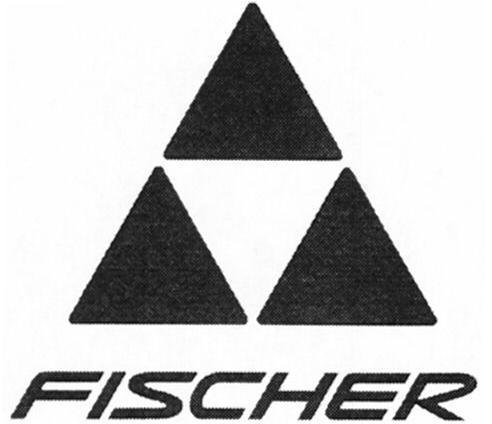 <em>Fischer</em>是什么意思的相关图片